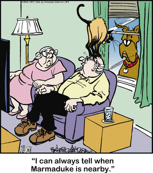 marmaduke